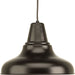 Progress Lighting District Collection One-Light Large Hanging Lantern (P5551-20)