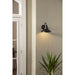 Progress Lighting District Collection One-Light Large Wall Lantern (P5623-20)