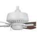 Progress Lighting Drift Collection 32 Inch Four-Blade Ceiling Fan (P250008-030)