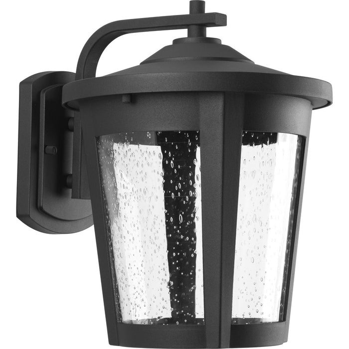 Progress Lighting East Haven Collection One-Light Large LED Wall Lantern 3000K (P6079-3130K9)