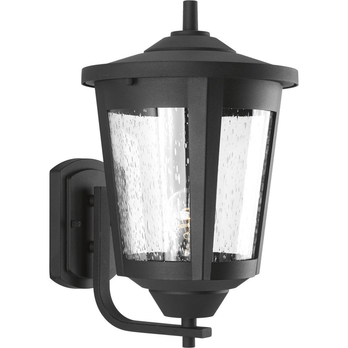 Progress Lighting East Haven Collection One-Light Large Wall Lantern (P6075-31)