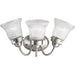 Progress Lighting Economy Fluted Glass Three-Light Bath And Vanity (P3289-09)