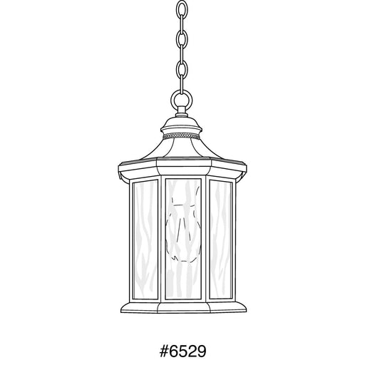Progress Lighting Edition Collection One-Light Hanging Lantern (P6529-20)