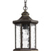 Progress Lighting Edition Collection One-Light Hanging Lantern (P6529-20)