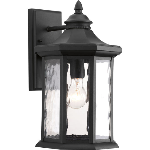 Progress Lighting Edition Collection One-Light Large Wall Lantern (P6072-31)