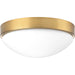Progress Lighting Elevate Collection 13 Inch LED Flush Mount 3000K (P350105-109-30)