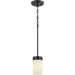 Progress Lighting Elevate Collection One-Light Mini-Pendant (P500151-031)