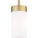 Progress Lighting Elevate Collection One-Light Mini-Pendant (P500151-109)