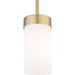 Progress Lighting Elevate Collection One-Light Mini-Pendant (P500151-109)