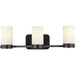 Progress Lighting Elevate Collection Three-Light Bath And Vanity (P300022-031)