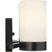 Progress Lighting Elevate Collection Two-Light Bath And Vanity (P300021-031)