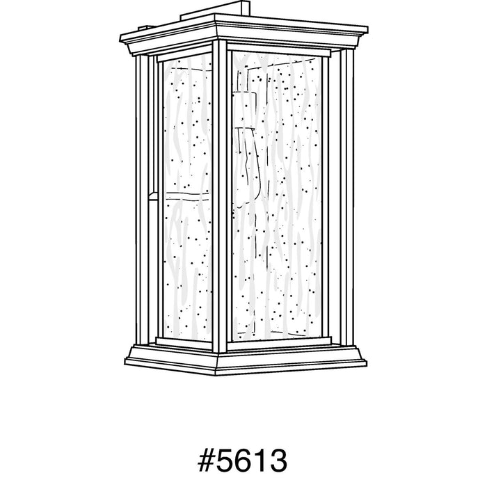 Progress Lighting Endicott Collection Extra Large Wall Lantern (P5613-20)