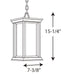 Progress Lighting Endicott Collection One-Light Hanging Lantern (P5500-20)