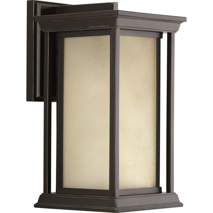 Progress Lighting Endicott Collection One-Light Medium Wall Lantern (P5610-20)