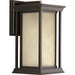 Progress Lighting Endicott Collection One-Light Medium Wall Lantern (P5610-20)
