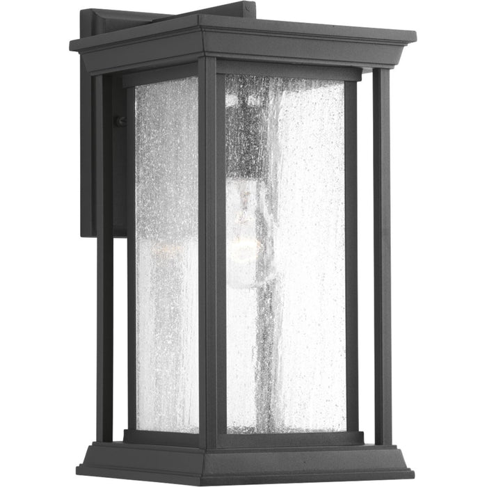 Progress Lighting Endicott Collection One-Light Medium Wall Lantern (P5610-31)