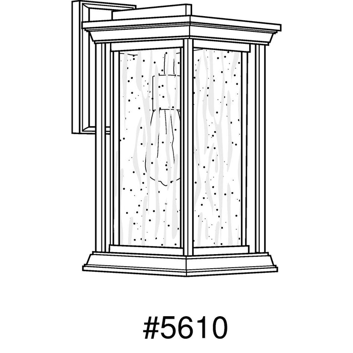 Progress Lighting Endicott Collection One-Light Medium Wall Lantern (P5610-31)