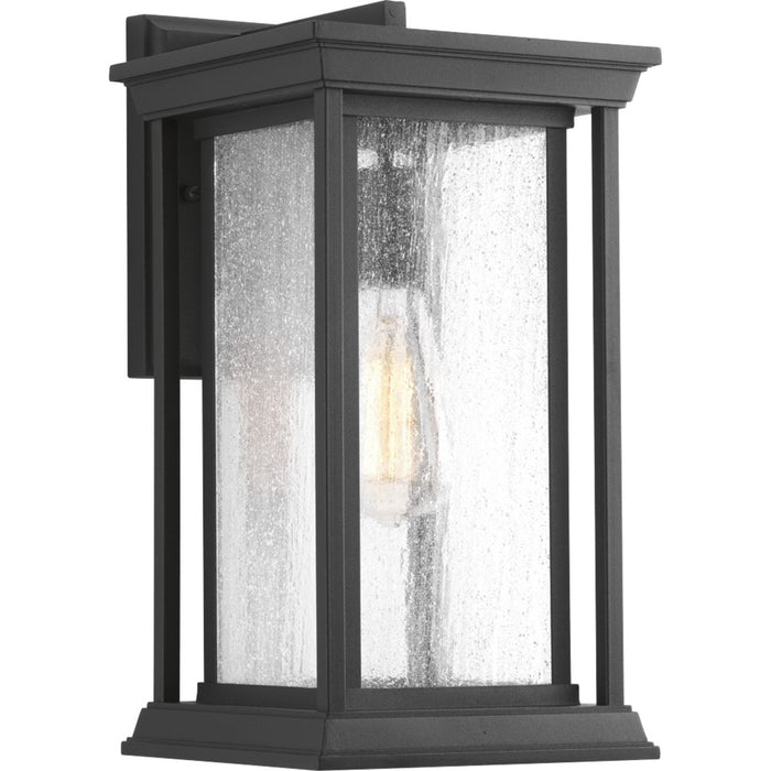Progress Lighting Endicott Collection One-Light Medium Wall Lantern (P5610-31)