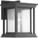 Progress Lighting Endicott Collection One-Light Small Wall Lantern (P5605-31)