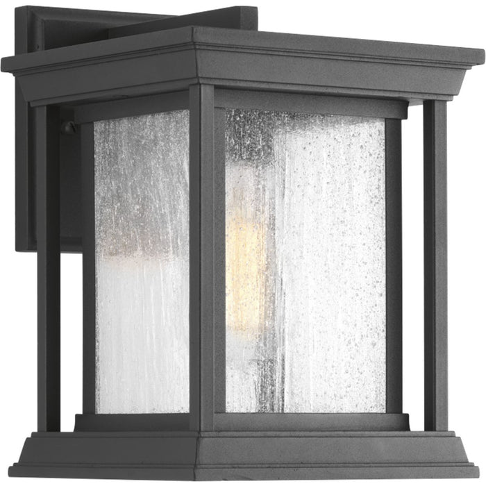 Progress Lighting Endicott Collection One-Light Small Wall Lantern (P5605-31)