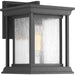 Progress Lighting Endicott Collection One-Light Small Wall Lantern (P5605-31)