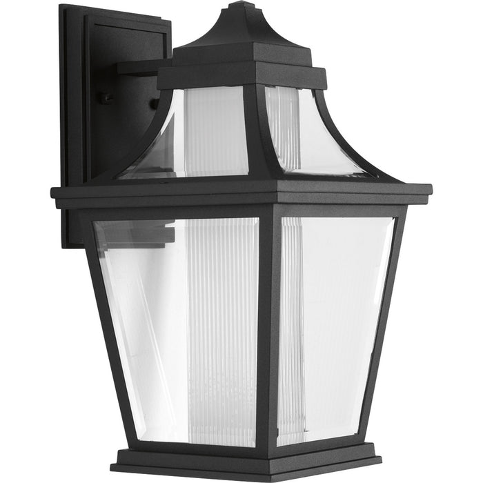 Progress Lighting Endorse Collection One-Light Medium Wall Lantern 3000K (P6057-3130K9)