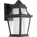 Progress Lighting Endorse Collection One-Light Small Wall Lantern 3000K (P6056-3130K9)
