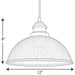 Progress Lighting Englewood Collection One-Light Hanging Lantern (P550032-020)