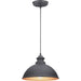 Progress Lighting Englewood Collection One-Light Hanging Lantern (P550032-031)