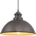 Progress Lighting Englewood Collection One-Light Hanging Lantern (P550032-103)