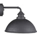 Progress Lighting Englewood Collection One-Light Medium Wall Lantern (P560098-031)