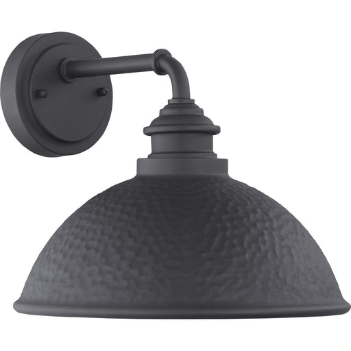 Progress Lighting Englewood Collection One-Light Medium Wall Lantern (P560098-031)