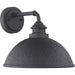 Progress Lighting Englewood Collection One-Light Medium Wall Lantern (P560098-031)