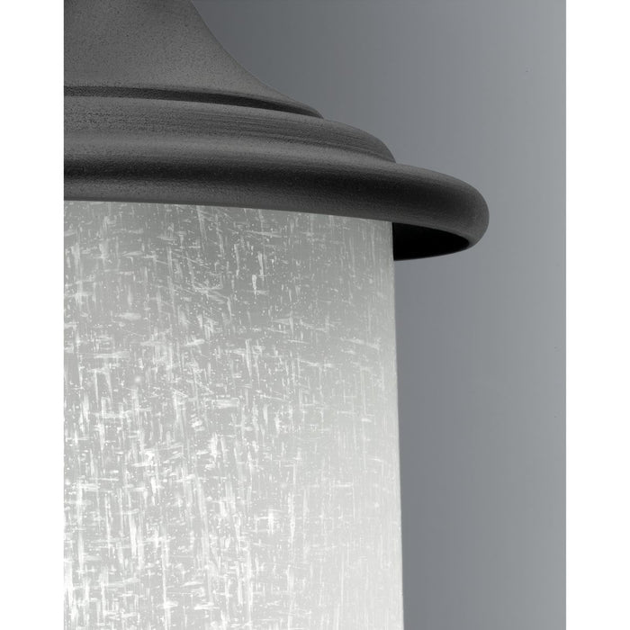 Progress Lighting Essential Collection One-Light Medium Wall Lantern (P6060-31)