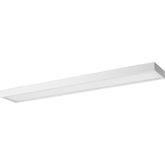 Progress Lighting Everlume Collection 1 Light 32W LED 32 Inch Linear Bath And Vanity Fixture (P300306-028-CS)