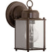 Progress Lighting Flat Glass Lantern One-Light Wall Lantern (P5607-20)