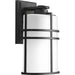 Progress Lighting Format Collection One-Light Medium Wall Lantern (P6063-31)