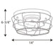 Progress Lighting Gauge Collection Two-Light Flush Mount (P350037-143)