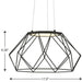 Progress Lighting Geodesic Collection LED 28W Hanging Pendant (P500319-031-30)