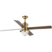 Progress Lighting Gillen 56 Inch 4-Blade LED Indoor/Outdoor Vintage Brass Vintage Electric Ceiling Fan With Light Kit/Clear Glass Shade (P250075-163-WB)