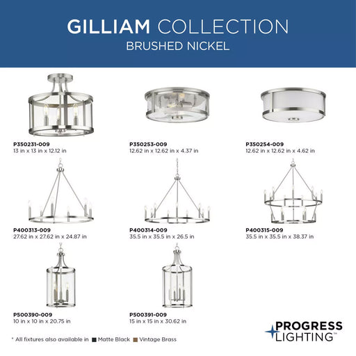 Progress Lighting Gilliam Collection 15W Two-Light Flush Mount Brushed Nickel (P350254-009)