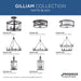 Progress Lighting Gilliam Collection 15W Two-Light Flush Mount Matte Black (P350253-31M)
