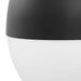Progress Lighting Globe LED Collection Black One-Light LED Pendant 3000K (P500148-031-30)