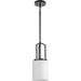 Progress Lighting Goodwin Collection 60W One-Light Mini-Pendant Matte Black (P500410-31M)