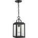 Progress Lighting Grandbury Collection One-Light Hanging Lantern With Durashield (P550064-031)