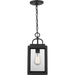 Progress Lighting Grandbury Collection One-Light Hanging Lantern With Durashield (P550064-031)