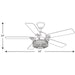 Progress Lighting Greer Collection 54 Inch Five Blade Ceiling Fan 2200K (P2584-71)