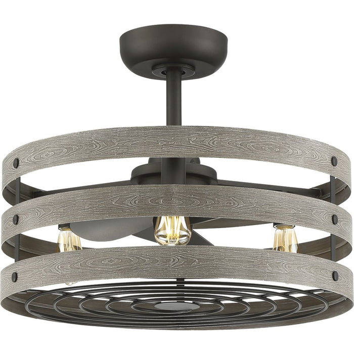 Progress Lighting Gulliver 23 Inch 3-Blade Fandelier With LED lights 2200K (P250012-143-22)