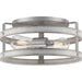 Progress Lighting Gulliver Collection 2 Light 60W Medium Base Flush Mount Close To Ceiling Fixture (P350169-141)