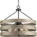 Progress Lighting Gulliver Collection Four-Light Pendant (P500023-143)